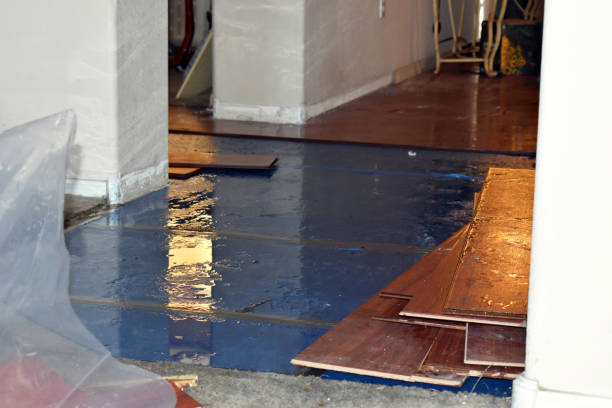 Professional Flood Cleanup technician working in Henderson, MI